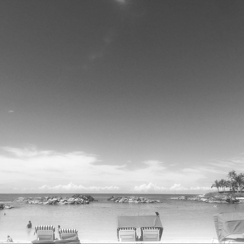 Meet your Posher, Gabby